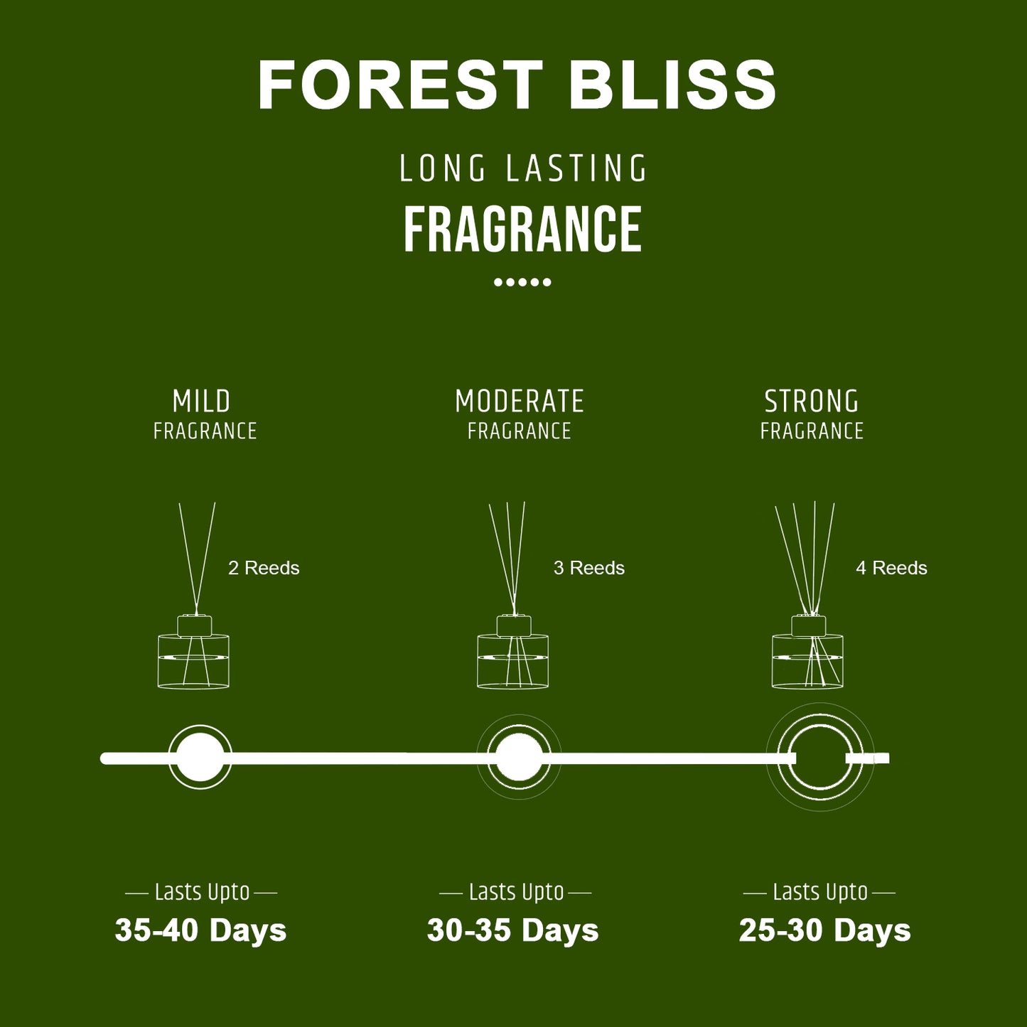 Forest Bliss Scented Reed Diffuser - Wonder Series (50ml) Forest Bliss Scented Reed Diffuser - Wonder Series (50ml)