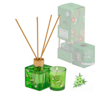 Wonder Series – Forest Bliss (Special Combo) | Reed Diffuser (50g) & Scented Candle (50g)