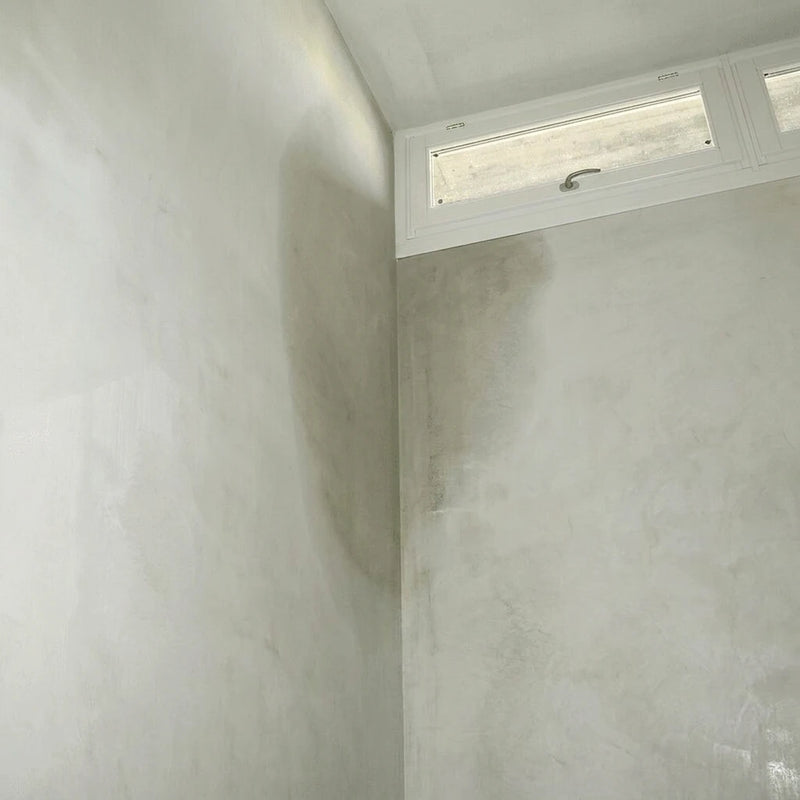 Humidity & Mold before