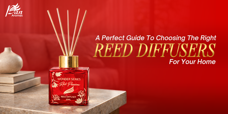 A Perfect Guide To Choosing The Right Reed Diffusers For Your Home