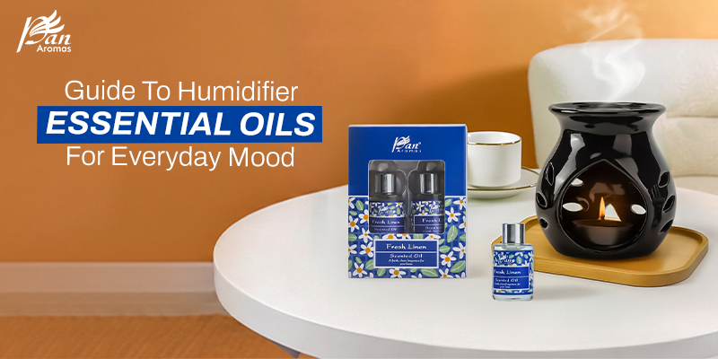 Guide To Humidifier Essential Oils For Everyday Mood