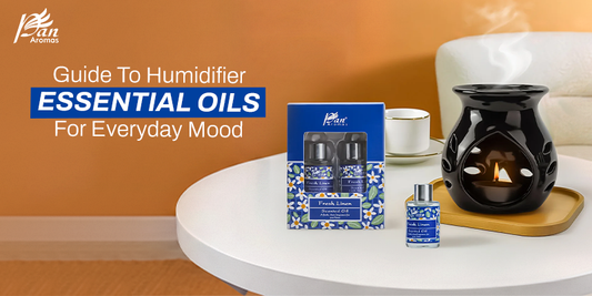 Guide To Humidifier Essential Oils For Everyday Mood