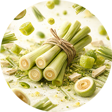 Lemon Grass