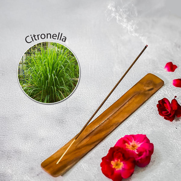 Citronella Incense Sticks (40 Pack) – Natural Bug Repellent