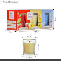 3 Pack Shot Glass Candle- (Apple & Cinnamon - French Vanilla - Fresh Linen)