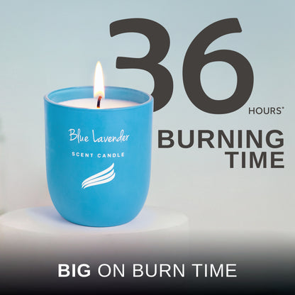 Crystal Collection – Blue Lavender (Special Combo) | Reed Diffuser (100ml) & Scented Candle (150g)