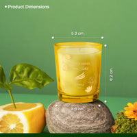 2 -Pack Wonder Series Shot Glass Candle - Forest Bliss and lemon sorbet