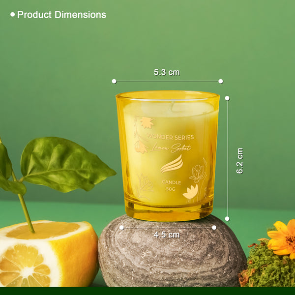2 -Pack Wonder Series Shot Glass Candle - Forest Bliss and lemon sorbet