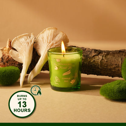 2 - Pack Wonder Series Shot Glass Candle - Forest Bliss and lemon sorbet