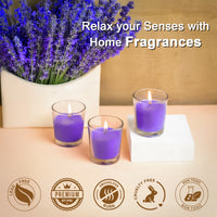 6 Pack Votive Glass Candle- Fresh Lavender