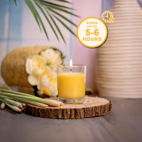 6 Pack Votive Glass Candle- Lemon Grass