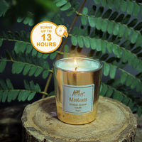 Moments Reed Diffuser & Candle Gift Set - Golden Amber Fragrance
