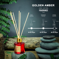 Moments Reed Diffuser & Candle Gift Set - Golden Amber Fragrance