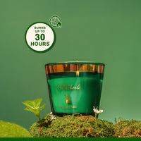 Patchouli Scented Candle - Oriental Collection (120gms)