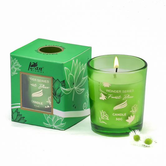 Wonder Series – Forest Bliss (Special Combo) | Reed Diffuser (50g) & Scented Candle (50g)
