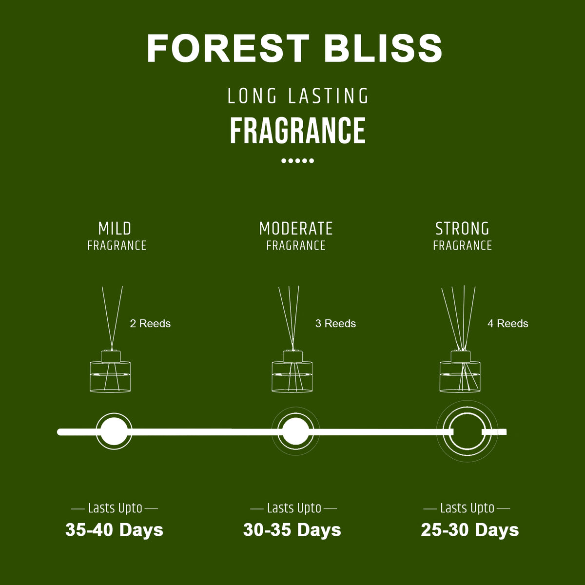Forest Bliss Scented Reed Diffuser - Wonder Series (50ml)