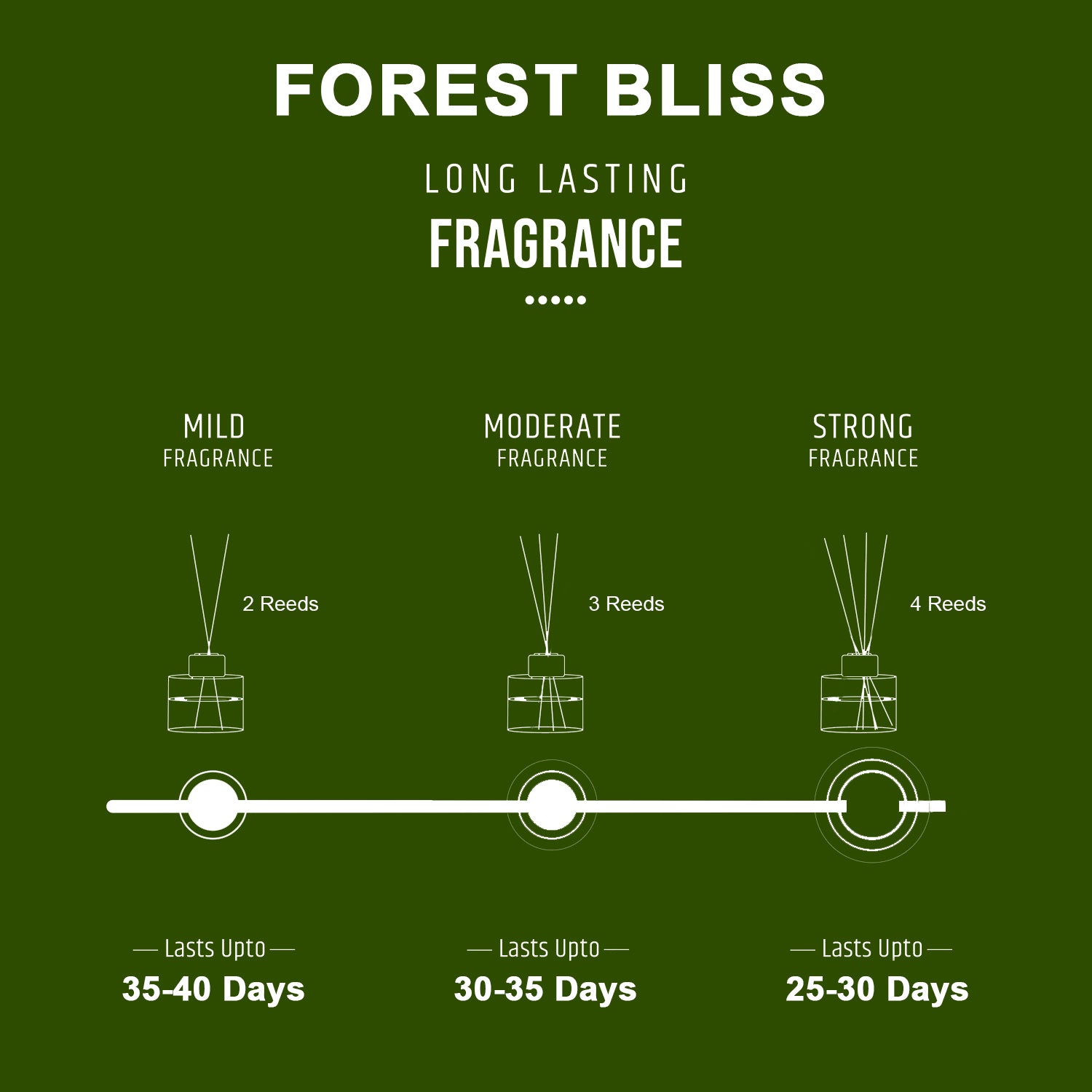 Forest Bliss Scented Reed Diffuser - Wonder Series (50ml)