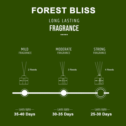 Forest Bliss Scented Reed Diffuser - Wonder Series (50ml)