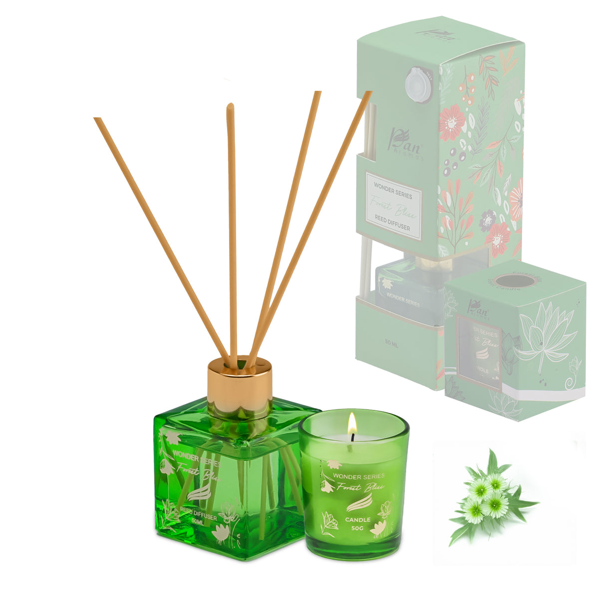 Wonder Series – Forest Bliss (Special Combo) | Reed Diffuser (50g) & Scented Candle (50g)