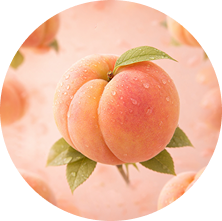 Tropical Peach